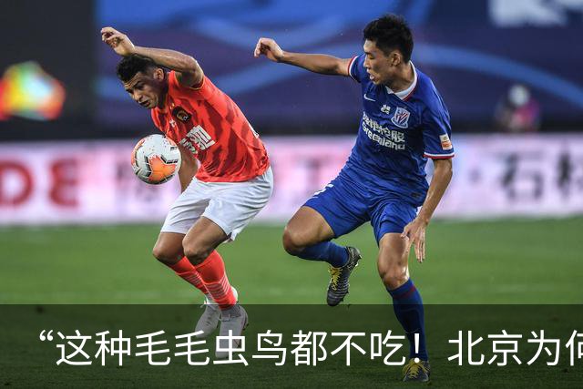 “这种毛毛虫鸟都不吃！北京为何今年特别多？答案让人意外”