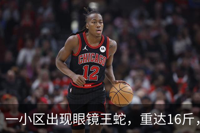 一小区出现眼镜王蛇，重达16斤，就在居民窗外游走，消防：是世界上体型最大的前沟牙毒蛇