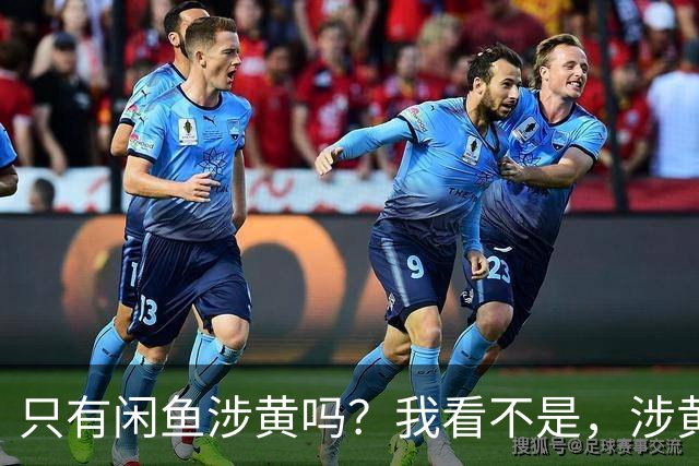 只有闲鱼涉黄吗？我看不是，涉黄引流已经泛滥了