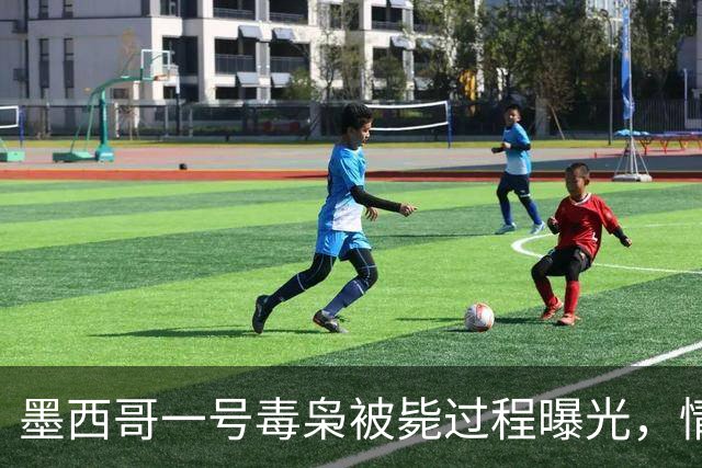 墨西哥一号毒枭被毙过程曝光，情妇太美忍不住召来过夜暴露踪迹