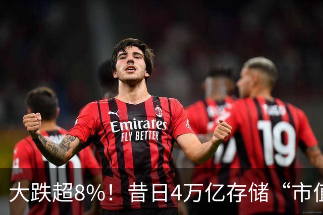 大跌超8%！昔日4万亿存储“市值一哥”，两个月市值蒸发1.3万亿，还会跌吗？