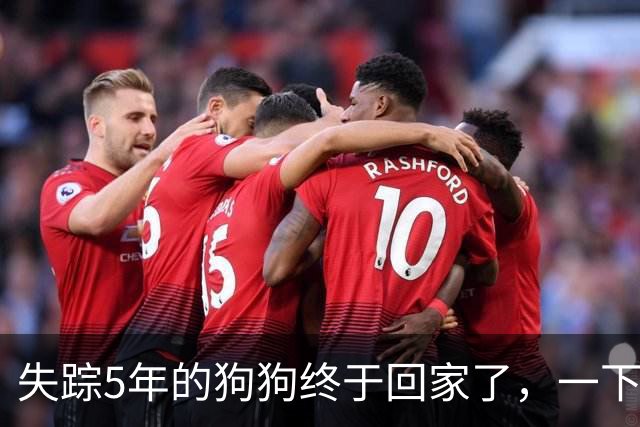 失踪5年的狗狗终于回家了，一下飞机就认出家人，这一幕真让人绷不住了！
