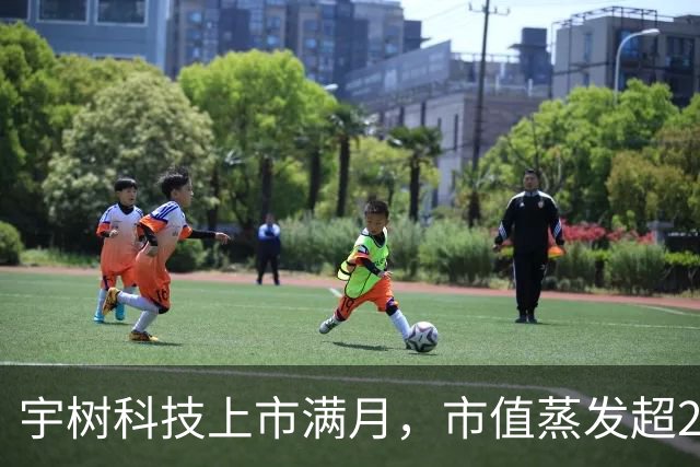宇树科技上市满月，市值蒸发超2300亿元