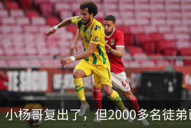 小杨哥复出了，但2000多名徒弟已经跑光了