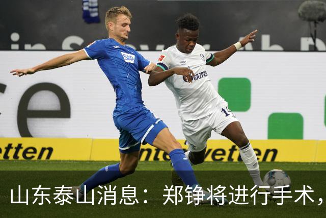 山东泰山消息：郑铮将进行手术，马德鲁加不续约，泽卡可能离队
