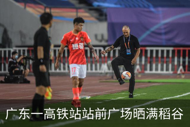 广东一高铁站站前广场晒满稻谷“治愈风”拉满，当地回应：不影响运行即可晾晒