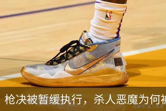 枪决被暂缓执行，杀人恶魔为何被枪下留人？长春大蒜王被害案始末