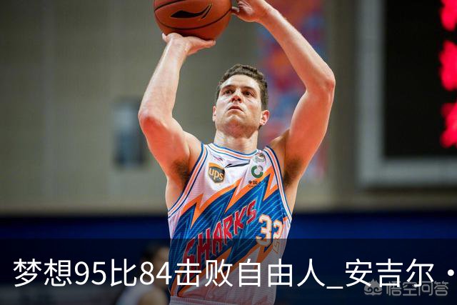 梦想95比84击败自由人 安吉尔·里斯14投7中得到18分10板2助1帽