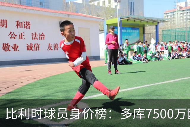 比利时球员身价榜：多库7500万欧居首，帕尔多5500万欧居次席