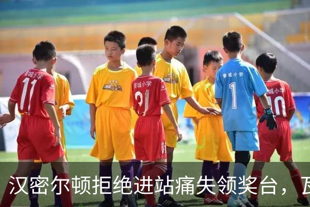 汉密尔顿拒绝进站痛失领奖台，瓦塞尔：这是他自己的决定