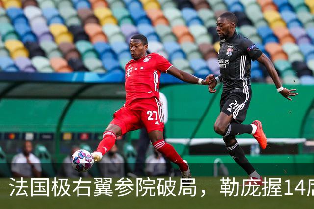 法国极右翼参院破局，勒庞握14席扩权，马克龙卸任前安全警报响