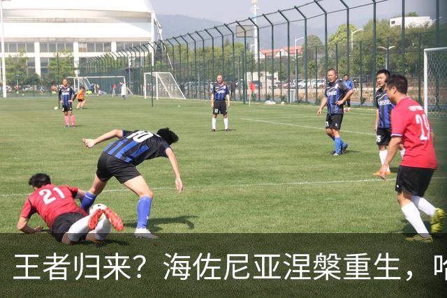 王者归来？海佐尼亚涅槃重生，哈登米切尔阿特金森齐声背书！