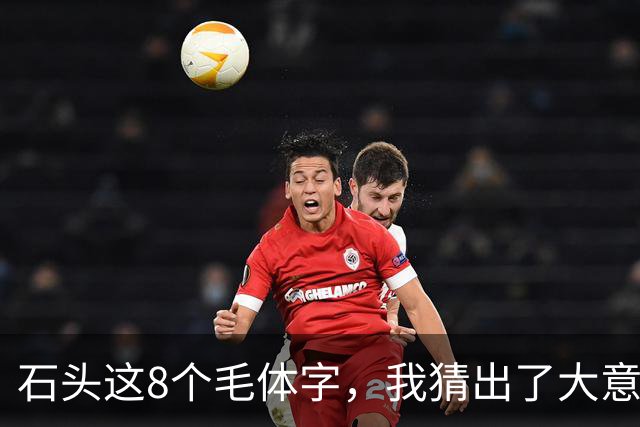 石头这8个毛体字，我猜出了大意，却有3个字对不上号！能全部认准的是真高手！同一个偏旁，位置不同，草书写法为什么也不一样？