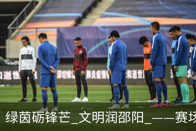 绿茵砺锋芒 文明润邵阳 ——赛场逆势突围挺进八强 文明拼搏激活城市奋进新动能