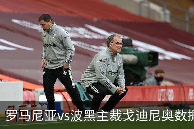 罗马尼亚vs波黑主裁戈迪尼奥数据：近20场执法88黄、1红、4点