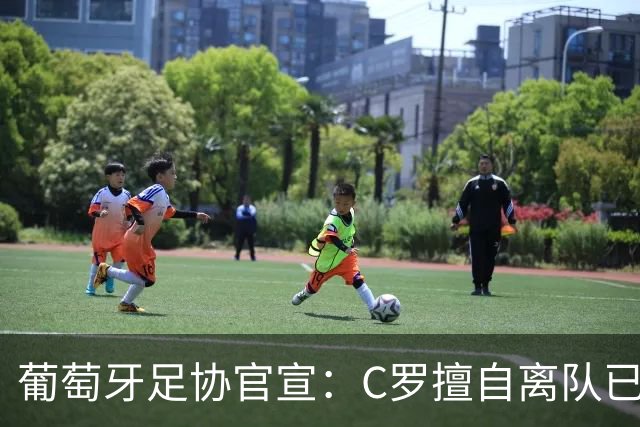 葡萄牙足协官宣：C罗擅自离队已严重违纪！禁赛30天+罚款255欧元