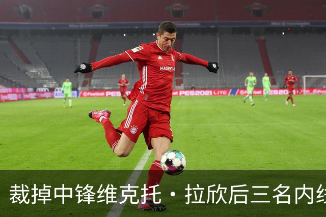 裁掉中锋维克托·拉欣后三名内线受伤 国王又与其签下训练营合同