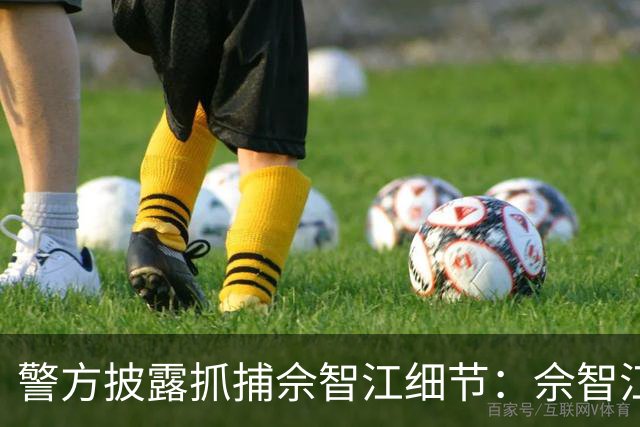 警方披露抓捕佘智江细节：佘智江十分嚣张，曾经放言凭着人脉关系和灰黑产获得的利益，能够完全摆平