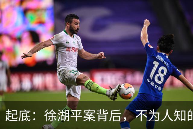 起底：徐湖平案背后，不为人知的行业“黑活”