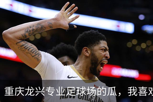 重庆龙兴专业足球场的瓜，我喜欢专业二字