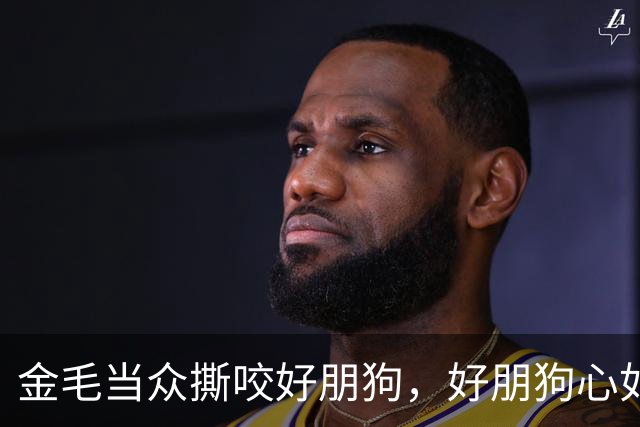 金毛当众撕咬好朋狗，好朋狗心如死灰：穿二手的也就算了，还要受此大辱…事双方狗子都心如死灰…评论区：他俩还没逃离原生家庭吗？