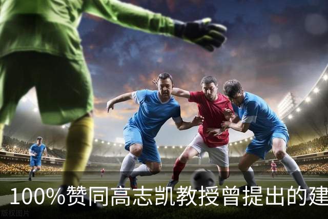 100%赞同高志凯教授曾提出的建议：大陆应该在台湾招募有志青年