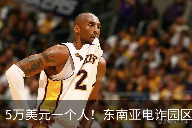 5万美元一个人！东南亚电诈园区明码标价，中国大学生成了新猎物