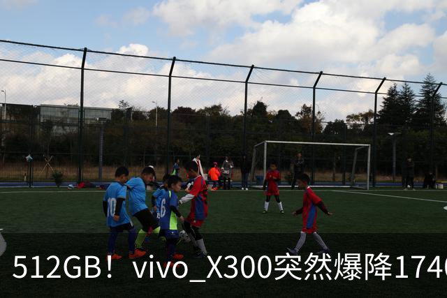 512GB！vivo X300突然爆降1740元