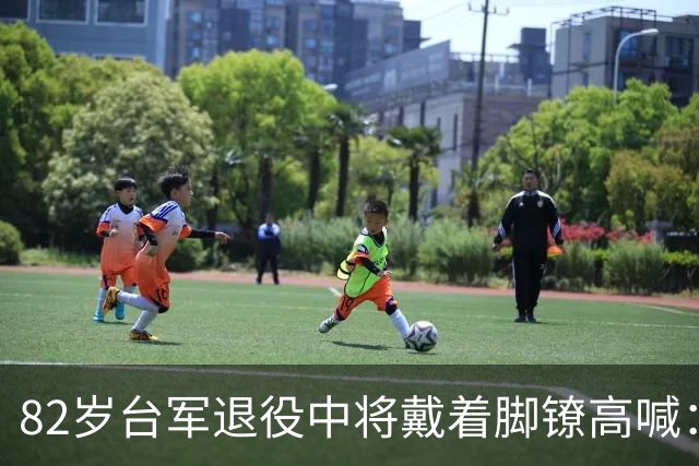 82岁台军退役中将戴着脚镣高喊：中国必将统一，也必然统一！